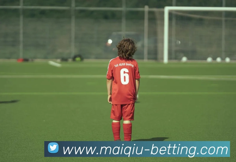 2026世界杯买球平台生态图