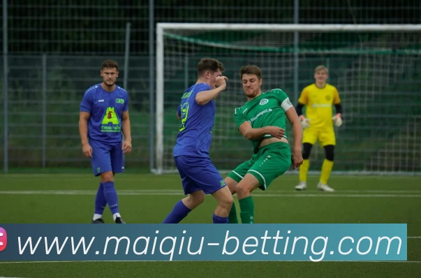 2026世界杯买球全站App